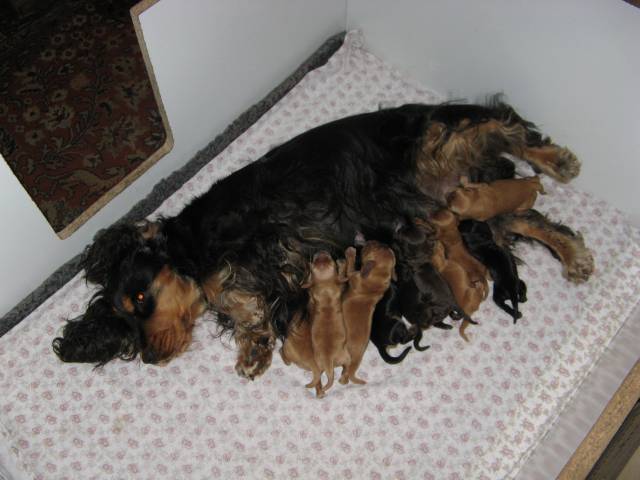 Überraschung