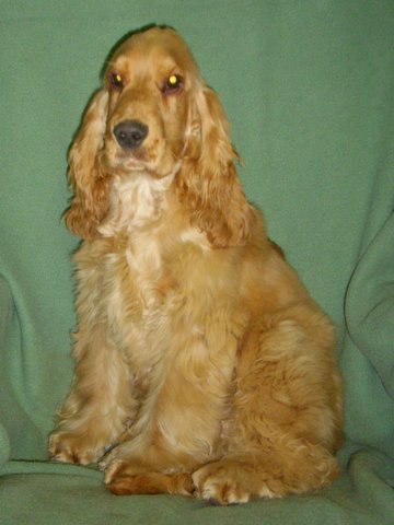 Baxter
